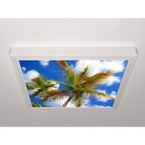 Gök Panel 60X60 LED Panel Aydınlatma Armatür Avize Sıva Üstü Desenli Tekli 46510559SU - 6500K - Beyaz