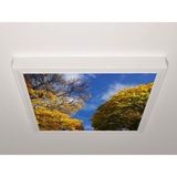 Gök Panel 60X60 LED Panel Aydınlatma Armatür Avize Sıva Üstü Desenli Tekli 46510563SU - 6500K - Beyaz