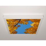 Gök Panel 60X60 LED Panel Aydınlatma Armatür Avize Sıva Üstü Desenli Tekli 46510565SU - 6500K - Beyaz
