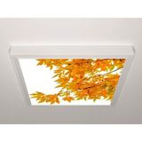 Gök Panel 60X60 LED Panel Aydınlatma Armatür Avize Sıva Üstü Desenli Tekli 46510568SU - 6500K - Beyaz