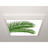 Gök Panel 60X60 LED Panel Aydınlatma Armatür Avize Sıva Üstü Desenli Tekli 46510586SU - 6500K - Beyaz