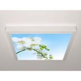 Gök Panel 60X60 LED Panel Aydınlatma Armatür Avize Sıva Üstü Desenli Tekli 46510591SU - 6500K - Beyaz