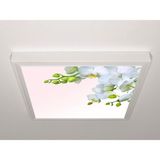 Gök Panel 60X60 LED Panel Aydınlatma Armatür Avize Sıva Üstü Desenli Tekli 46510592SU - 6500K - Beyaz