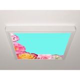 Gök Panel 60X60 LED Panel Aydınlatma Armatür Avize Sıva Üstü Desenli Tekli 46510593SU - 6500K - Beyaz