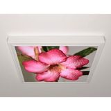 Gök Panel 60X60 LED Panel Aydınlatma Armatür Avize Sıva Üstü Desenli Tekli 46510595SU - 6500K - Beyaz
