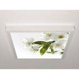 Gök Panel 60X60 LED Panel Aydınlatma Armatür Avize Sıva Üstü Desenli Tekli 46510596SU - 6500K - Beyaz