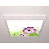 Gök Panel 60X60 LED Panel Aydınlatma Armatür Avize Sıva Üstü Desenli Tekli 46510597SU - 6500K - Beyaz
