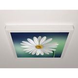 Gök Panel 60X60 LED Panel Aydınlatma Armatür Avize Sıva Üstü Desenli Tekli 46510600SU - 6500K - Beyaz