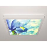 Gök Panel 60X60 LED Panel Aydınlatma Armatür Avize Sıva Üstü Desenli Tekli 46510604SU - 6500K - Beyaz