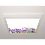 Gök Panel 60X60 LED Panel Aydınlatma Armatür Avize Sıva Üstü Desenli Tekli 46510606SU - 6500K - Beyaz