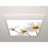 Gök Panel 60X60 LED Panel Aydınlatma Armatür Avize Sıva Üstü Desenli Tekli 46510608SU - 6500K - Beyaz
