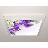 Gök Panel 60X60 LED Panel Aydınlatma Armatür Avize Sıva Üstü Desenli Tekli 46510609SU - 6500K - Beyaz
