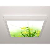 Gök Panel 60X60 LED Panel Aydınlatma Armatür Avize Sıva Üstü Desenli Tekli 46510613SU - 6500K - Beyaz