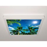 Gök Panel 60X60 LED Panel Aydınlatma Armatür Avize Sıva Üstü Desenli Tekli 46510614SU - 6500K - Beyaz