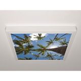 Gök Panel 60X60 LED Panel Aydınlatma Armatür Avize Sıva Üstü Desenli Tekli 46510617SU - 6500K - Beyaz