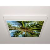 Gök Panel 60X60 LED Panel Aydınlatma Armatür Avize Sıva Üstü Desenli Tekli 46510620SU - 6500K - Beyaz