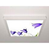 Gök Panel 60X60 LED Panel Aydınlatma Armatür Avize Sıva Üstü Desenli Tekli 46510643SU - 6500K - Beyaz
