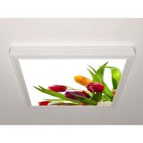 Gök Panel 60X60 LED Panel Aydınlatma Armatür Avize Sıva Üstü Desenli Tekli 46510644SU - 6500K - Beyaz