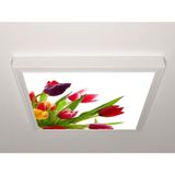 Gök Panel 60X60 LED Panel Aydınlatma Armatür Avize Sıva Üstü Desenli Tekli 46510645SU - 6500K - Beyaz