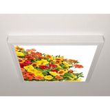 Gök Panel 60X60 LED Panel Aydınlatma Armatür Avize Sıva Üstü Desenli Tekli 46510646SU - 6500K - Beyaz