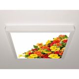 Gök Panel 60X60 LED Panel Aydınlatma Armatür Avize Sıva Üstü Desenli Tekli 46510647SU - 6500K - Beyaz