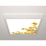 Gök Panel 60X60 LED Panel Aydınlatma Armatür Avize Sıva Üstü Desenli Tekli 46510649SU - 6500K - Beyaz