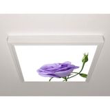 Gök Panel 60X60 LED Panel Aydınlatma Armatür Avize Sıva Üstü Desenli Tekli 46510679SU - 6500K - Beyaz