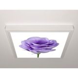 Gök Panel 60X60 LED Panel Aydınlatma Armatür Avize Sıva Üstü Desenli Tekli 46510680SU - 6500K - Beyaz