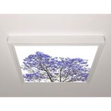 Gök Panel 60X60 LED Panel Aydınlatma Armatür Avize Sıva Üstü Desenli Tekli 46510681SU - 6500K - Beyaz