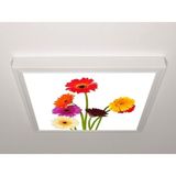 Gök Panel 60X60 LED Panel Aydınlatma Armatür Avize Sıva Üstü Desenli Tekli 46510682SU - 6500K - Beyaz