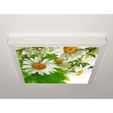 Gök Panel 60X60 LED Panel Aydınlatma Armatür Avize Sıva Üstü Desenli Tekli 46510687SU - 6500K - Beyaz