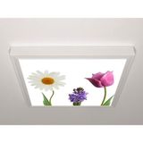 Gök Panel 60X60 LED Panel Aydınlatma Armatür Avize Sıva Üstü Desenli Tekli 46510689SU - 6500K - Beyaz