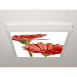 Gök Panel 60X60 LED Panel Aydınlatma Armatür Avize Sıva Üstü Desenli Tekli 46510692SU - 6500K - Beyaz