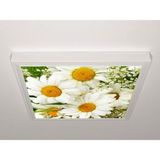 Gök Panel 60X60 LED Panel Aydınlatma Armatür Avize Sıva Üstü Desenli Tekli 46510694SU - 6500K - Beyaz