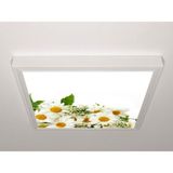 Gök Panel 60X60 LED Panel Aydınlatma Armatür Avize Sıva Üstü Desenli Tekli 46510695SU - 6500K - Beyaz
