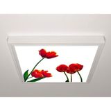 Gök Panel 60X60 LED Panel Aydınlatma Armatür Avize Sıva Üstü Desenli Tekli 46510698SU - 6500K - Beyaz