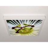 Gök Panel 60X60 LED Panel Aydınlatma Armatür Avize Sıva Üstü Desenli Tekli 46510701SU - 6500K - Beyaz