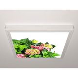 Gök Panel 60X60 LED Panel Aydınlatma Armatür Avize Sıva Üstü Desenli Tekli 46510705SU - 6500K - Beyaz