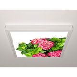 Gök Panel 60X60 LED Panel Aydınlatma Armatür Avize Sıva Üstü Desenli Tekli 46510707SU - 6500K - Beyaz