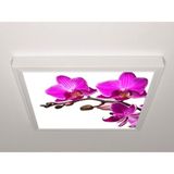 Gök Panel 60X60 LED Panel Aydınlatma Armatür Avize Sıva Üstü Desenli Tekli 46510720SU - 6500K - Beyaz
