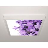 Gök Panel 60X60 LED Panel Aydınlatma Armatür Avize Sıva Üstü Desenli Tekli 46510729SU - 6500K - Beyaz
