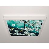 Gök Panel 60X60 LED Panel Aydınlatma Armatür Avize Sıva Üstü Desenli Tekli 46510744SU - 6500K - Beyaz