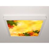 Gök Panel 60X60 LED Panel Aydınlatma Armatür Avize Sıva Üstü Desenli Tekli 46510746SU - 6500K - Beyaz