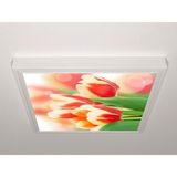 Gök Panel 60X60 LED Panel Aydınlatma Armatür Avize Sıva Üstü Desenli Tekli 46510761SU - 6500K - Beyaz