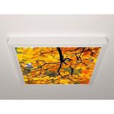 Gök Panel 60X60 LED Panel Aydınlatma Armatür Avize Sıva Üstü Desenli Tekli 46510762SU - 6500K - Beyaz