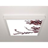 Gök Panel 60X60 LED Panel Aydınlatma Armatür Avize Sıva Üstü Desenli Tekli 46510767SU - 6500K - Beyaz
