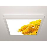 Gök Panel 60X60 LED Panel Aydınlatma Armatür Avize Sıva Üstü Desenli Tekli 46510783SU - 6500K - Beyaz
