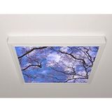 Gök Panel 60X60 LED Panel Aydınlatma Armatür Avize Sıva Üstü Desenli Tekli 46510801SU - 6500K - Beyaz