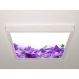 Gök Panel 60X60 LED Panel Aydınlatma Armatür Avize Sıva Üstü Desenli Tekli 46510871SU - 6500K - Beyaz