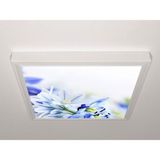 Gök Panel 60X60 LED Panel Aydınlatma Armatür Avize Sıva Üstü Desenli Tekli 46510873SU - 6500K - Beyaz